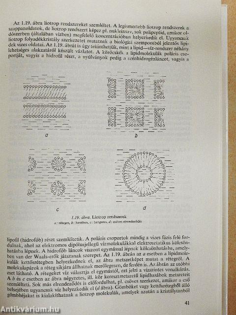 A biofizika alapjai