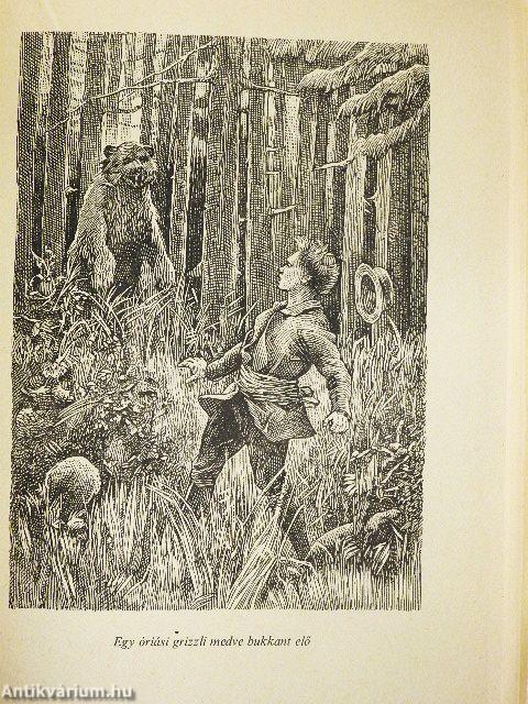 Cirkuszkocsival a sarkvidéken át