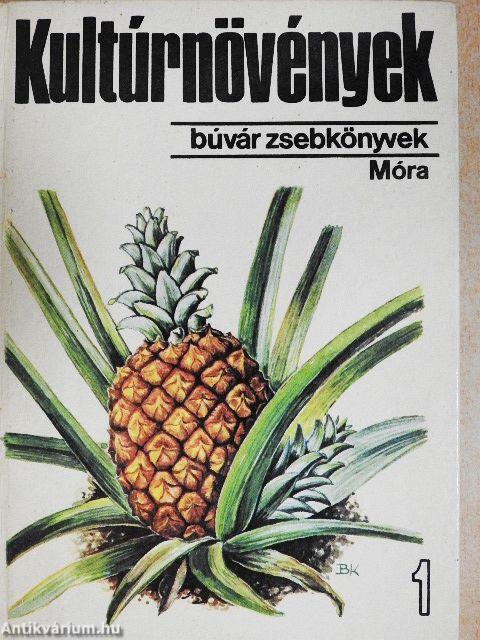 Kultúrnövények 1.