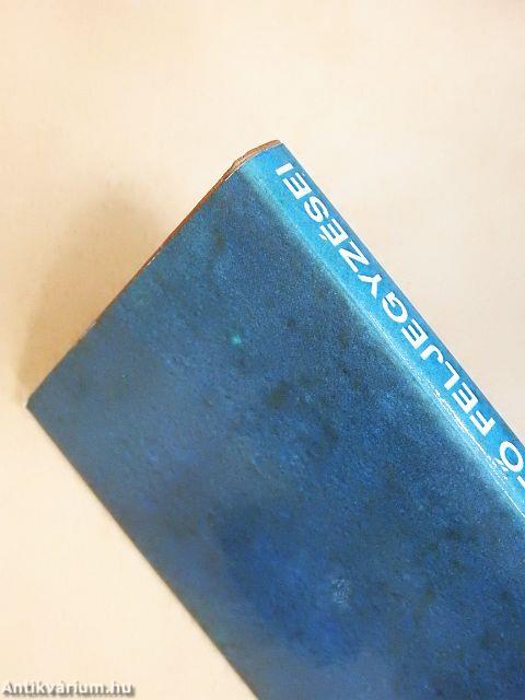 Egy festő feljegyzései