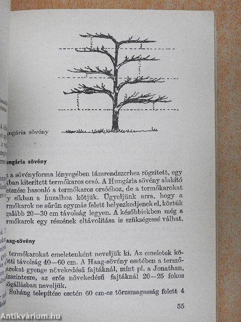 A ház körüli kertészkedés tervezése és jövedelmezősége