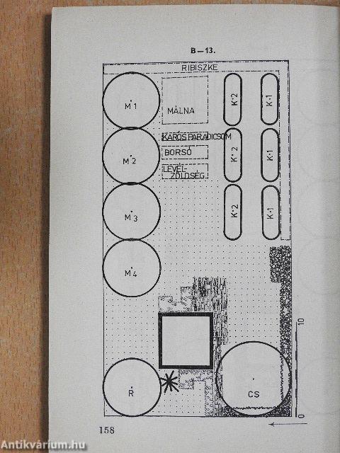 A ház körüli kertészkedés tervezése és jövedelmezősége