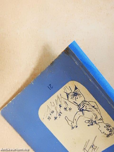 Kis repülők iskolája