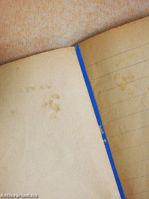 Kis repülők iskolája