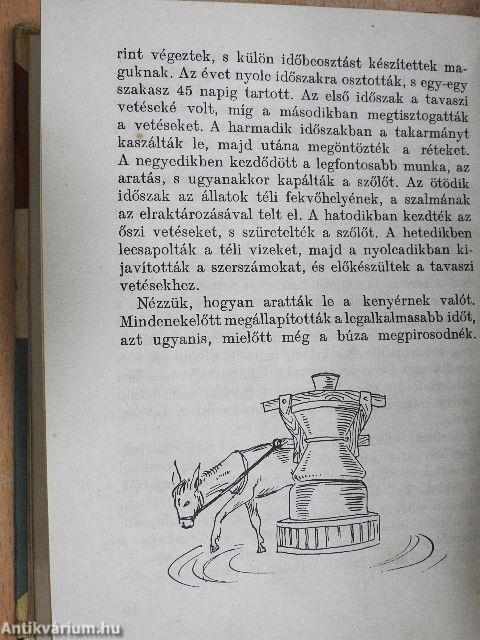 A kenyér története