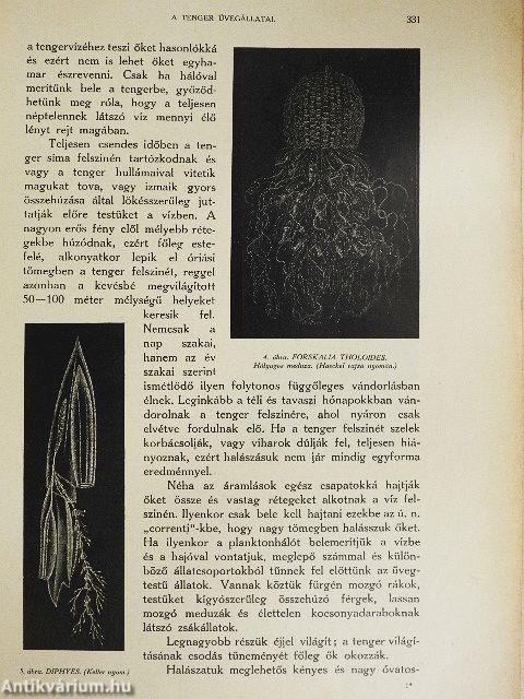 A tenger 1913. julius-augusztus