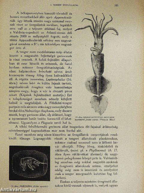 A tenger 1913. julius-augusztus