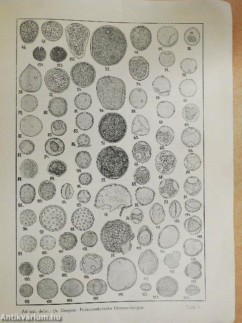 A Szeged-öthalmi mammut- és szénlelet pollenanalitikai vizsgálata