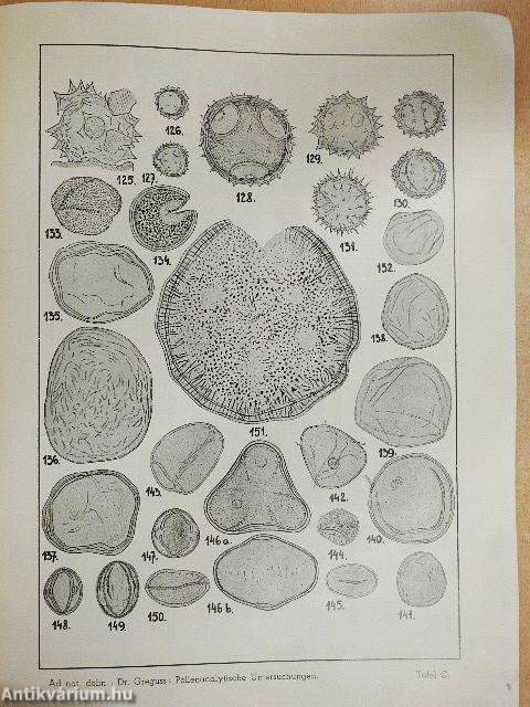 A Szeged-öthalmi mammut- és szénlelet pollenanalitikai vizsgálata