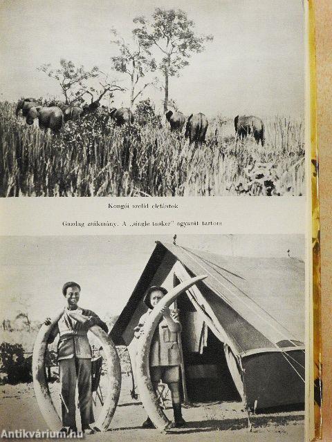 Kelet-Afrika vadonjaiban