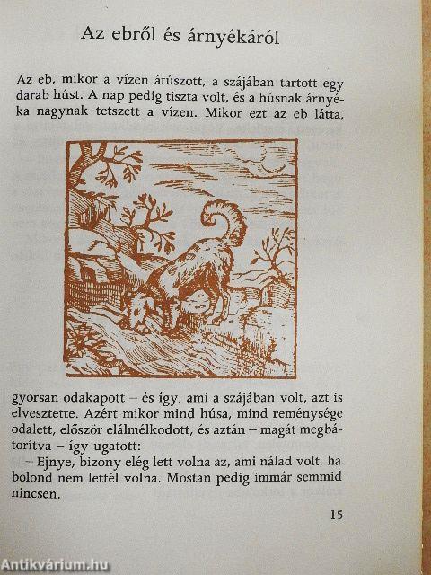 A madarakról és a vadakról