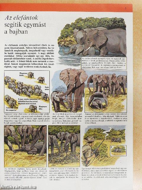 A természet csodái 1-11.