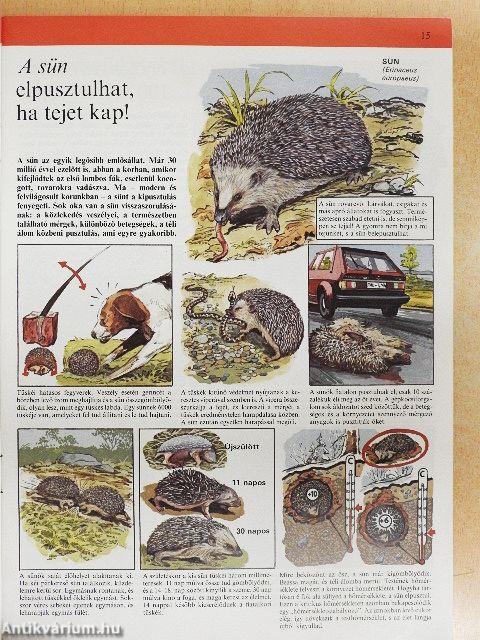 A természet csodái 1-11.