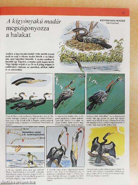 A természet csodái 1-11.