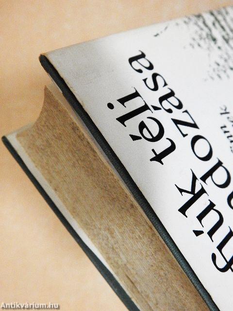 A fiúk téli kalandozása