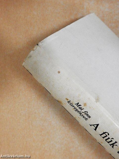 A fiúk téli kalandozása