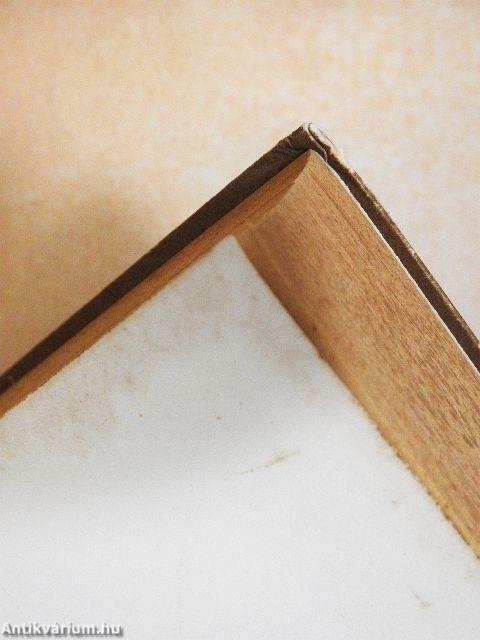 Orosz-magyar/magyar-orosz szótár