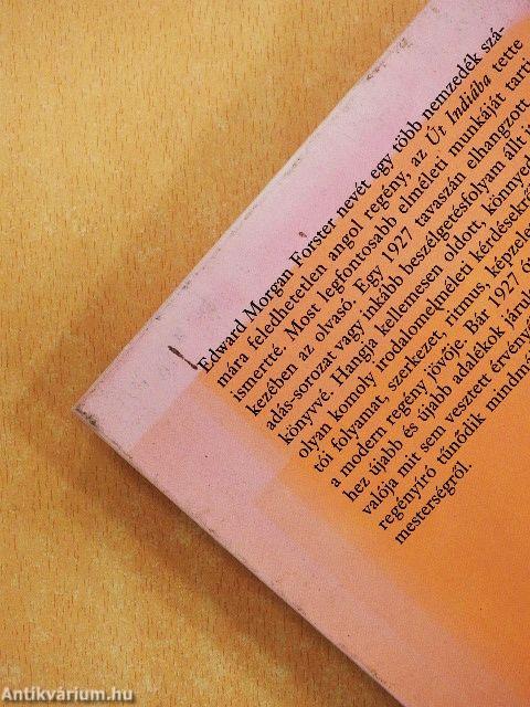 A regény aspektusai