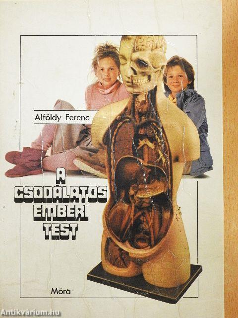 A csodálatos emberi test