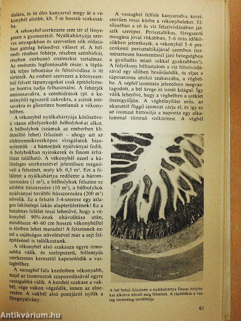 A csodálatos emberi test