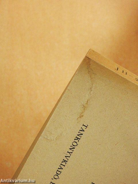 Egyetemes művészettörténet