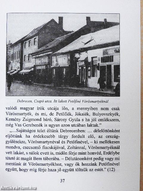 A Petőfi és a Szendrey család