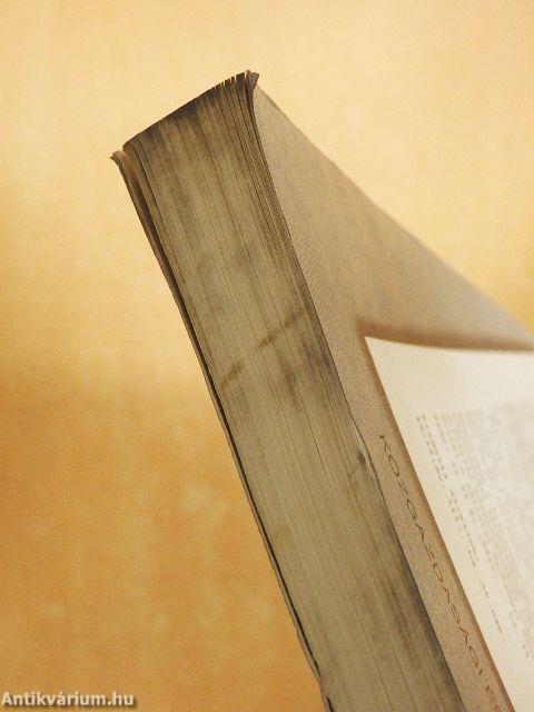 Munkaerőpiac tőkepiac nélkül