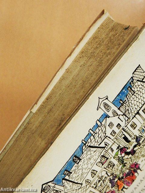 Egy falusi nótáriusnak budai utazása/Rontó Pál