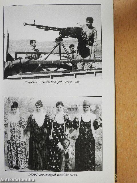 Ezer lázadás, ezer sóhaj