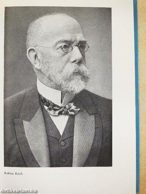 A wollsteini "fizikus"