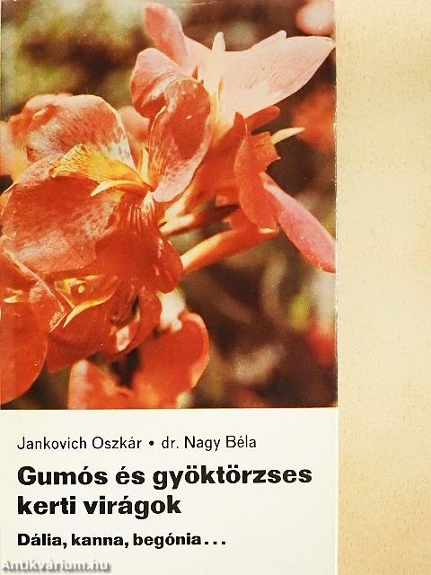 Gumós és gyöktörzses kerti virágok