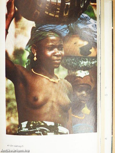 A Niger partján