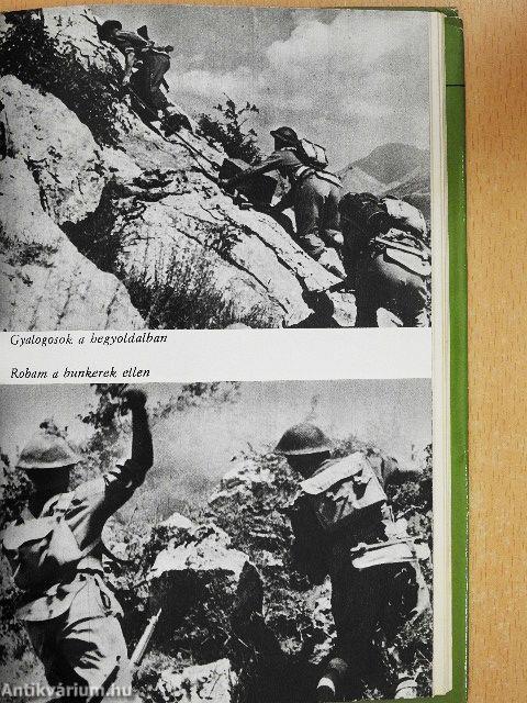 A Monte Cassinó-i csata