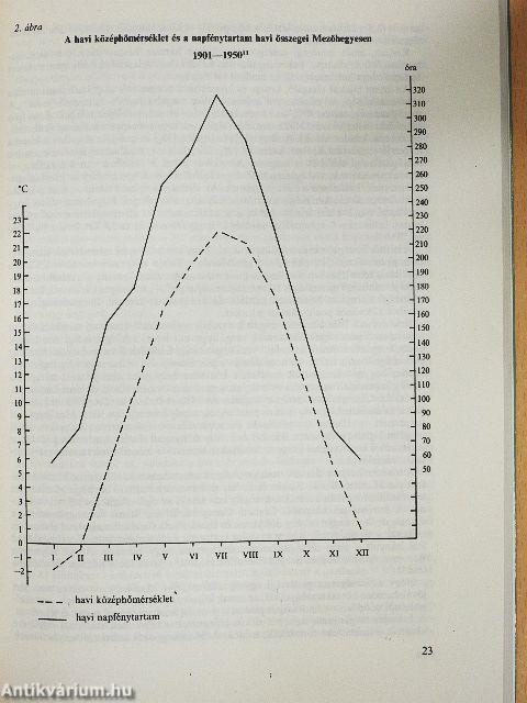 A mezőhegyesi ménesbirtok gazdálkodása a két világháború között
