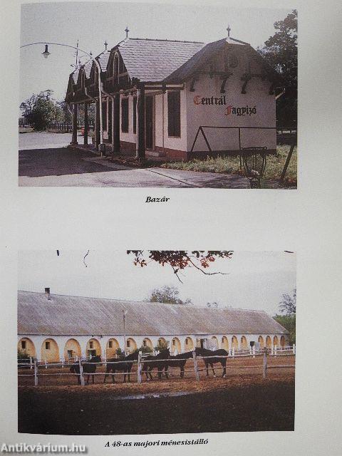 Mezőhegyesi műemlékek és emlékezések