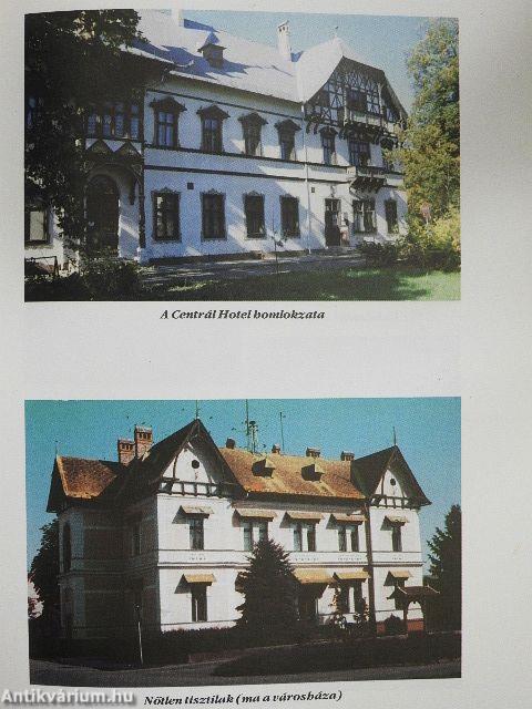 Mezőhegyesi műemlékek és emlékezések