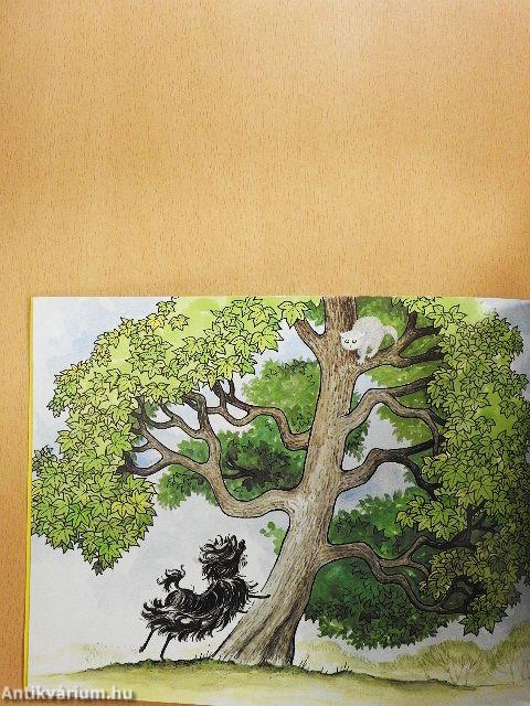 Hairy Maclary Scattercat