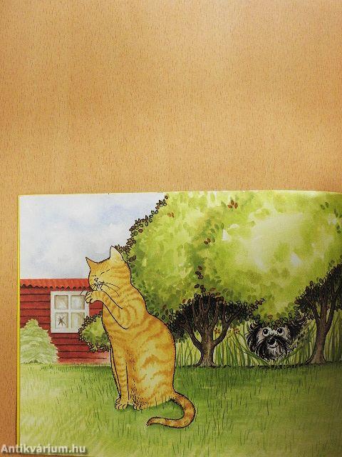 Hairy Maclary Scattercat