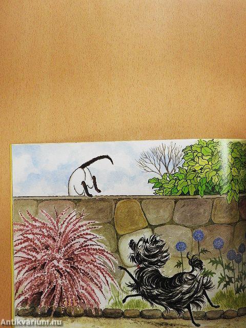 Hairy Maclary Scattercat