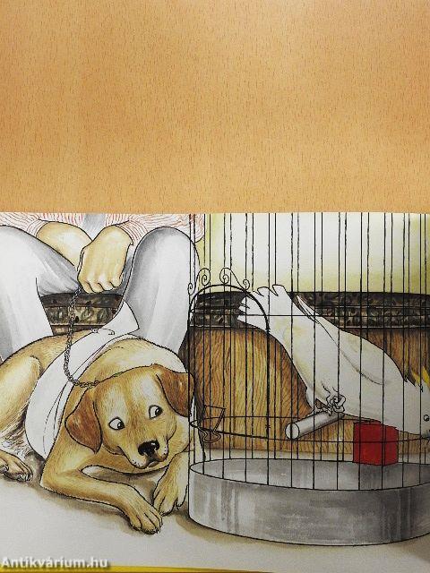 Hairy Maclary's Rumpus at the Vet