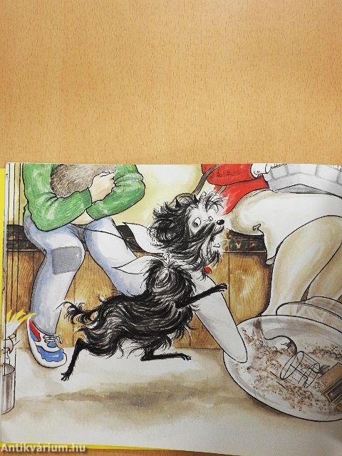 Hairy Maclary's Rumpus at the Vet