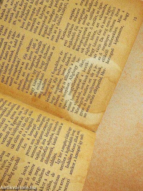 Az elvarázsolt királykisasszony