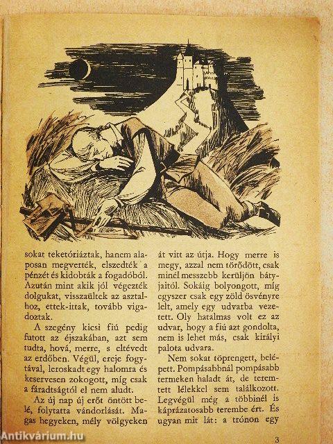 Az elvarázsolt királykisasszony