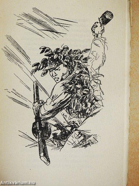 A barátság hőskölteménye