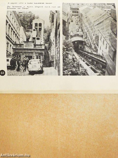 100 éves a budai hegypálya