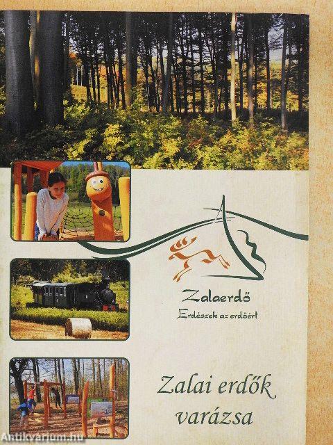 Zalai erdők varázsa