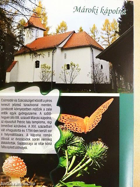 Zalai erdők varázsa