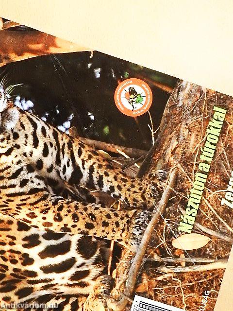 Nimród Safari 2013/1-4.