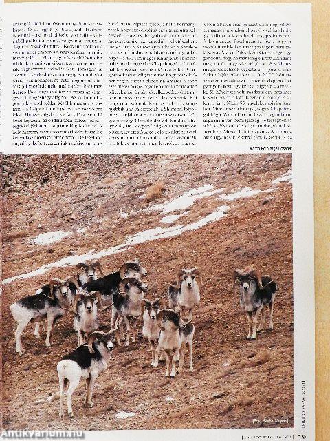 Nimród Safari 2010/1-4.