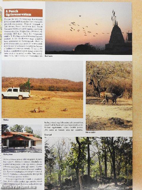 Nimród Safari 2018/1-4.